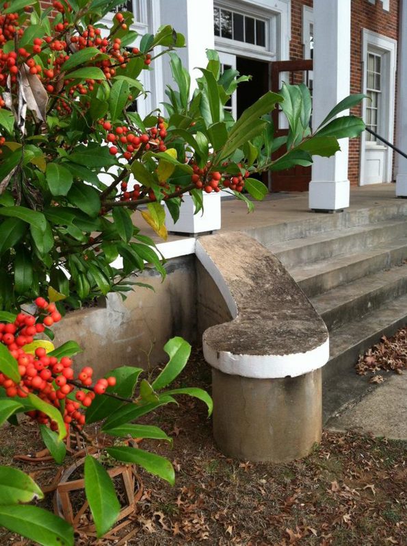 Lincoln Campus Auditorium - Flowering berries