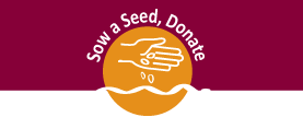 Sow a Seed today, donate to the restoration of Lincoln Normal Campus, Marion, AL